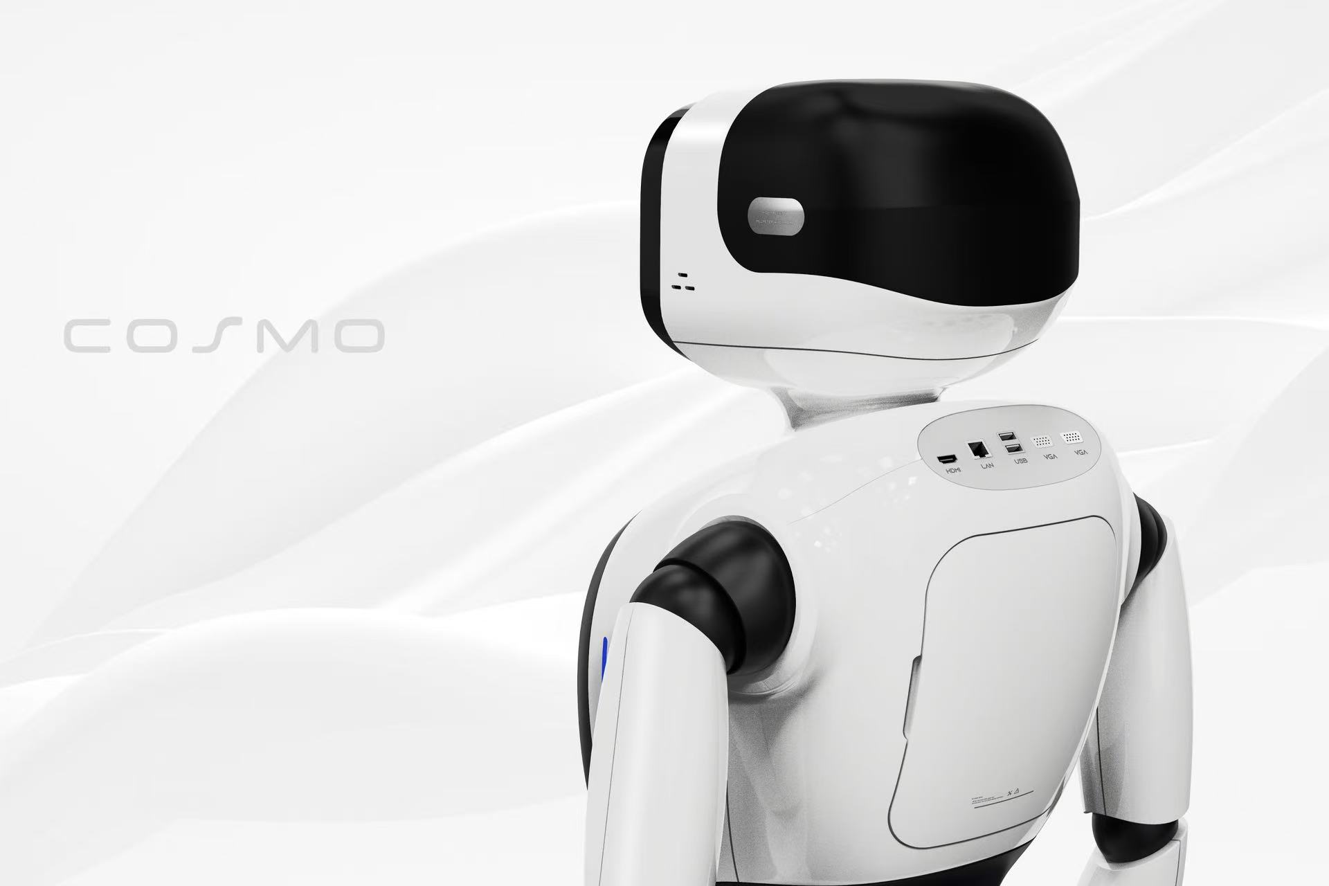 人形機(jī)器人(圖4)